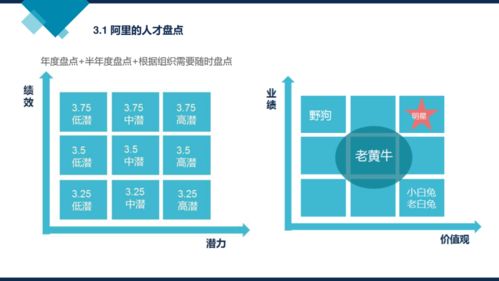 阿里巴巴组织能力建设 政委机制 绩效管理 人才发展等 